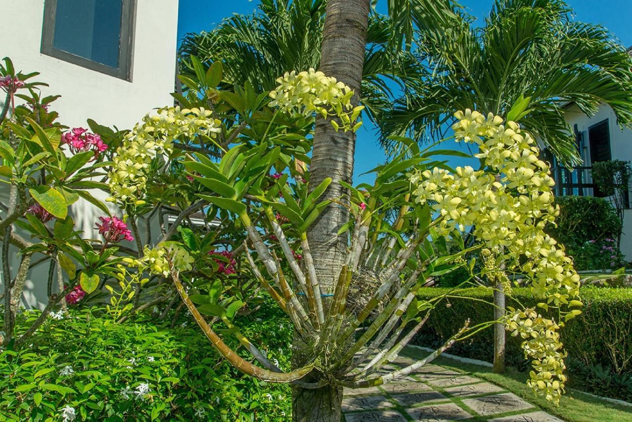 Luxury Villa Sleeps 6, Beach Access, Бухта Монтего Экстерьер фото